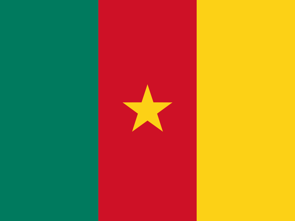 Flag of Cameroon
